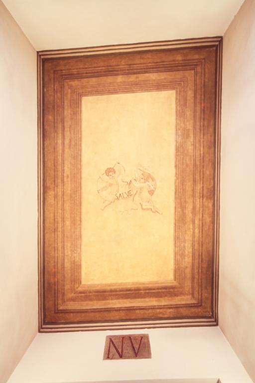 App Leoncino Design In Appartamento *